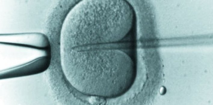 Clínica de fertilización in vitro destruye los bebés luego de implantarlos por error en otra mujer