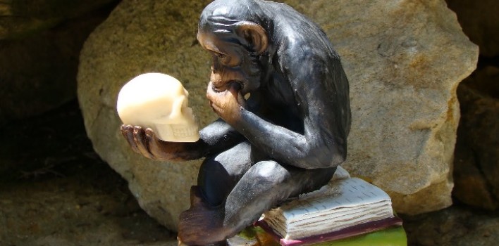 ¿Puede un católico aceptar la teoría de la Evolución?