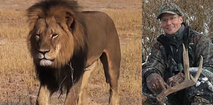 Un africano ridiculiza en el «New York Times» la histeria mediática occidental por el león Cecil