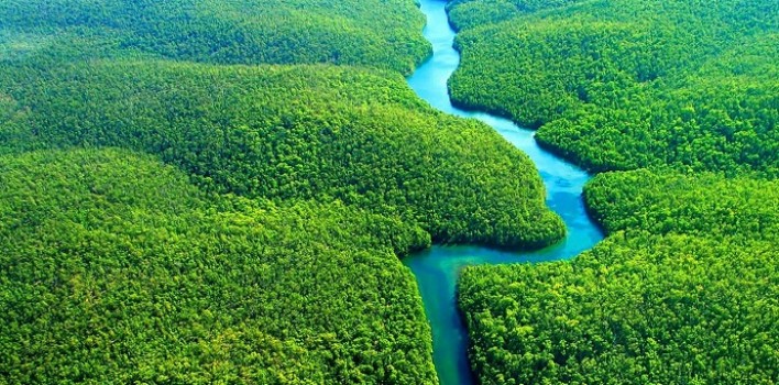 Sugerencias para el Sínodo de la Amazonía