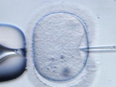 Polémica por donante de esperma que tiene unos 150 hijos en Estados Unidos