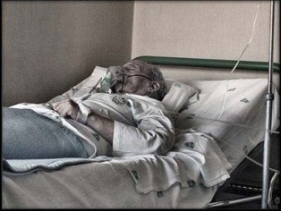Pendiente resbaladiza: “soledad” y “fatiga” son ahora criterios para la eutanasia en Holanda