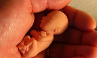 ¿Por qué el aborto debe ser penalizado?