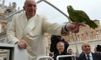 Papa Francisco: El sacramento de la confirmación ayuda a «defender la fe»