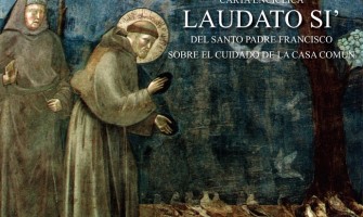 Una visión de conjunto de la encíclica del Papa Francisco Laudato si’