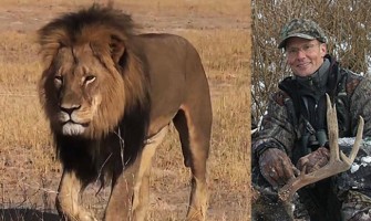 Un africano ridiculiza en el «New York Times» la histeria mediática occidental por el león Cecil
