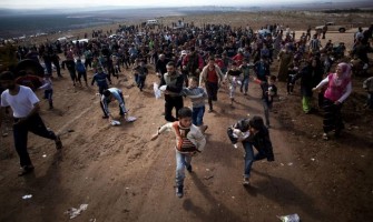 ¡Que cada parroquia acoja a una familia de refugiados! Papa Francisco