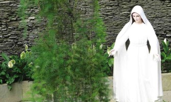 Aprobada aparición de la Virgen en Filipinas: Mediadora de todas las gracias