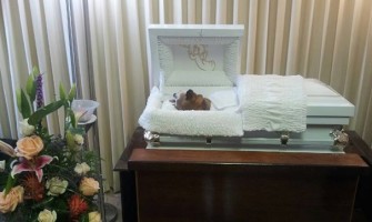 Féretros, velatorios y relicarios: cuando el entierro de mascotas supera al de los seres humanos