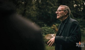 Es tiempo de luchar y no de abandonar la Iglesia, afirma Mons. Robert Barron ante los abusos