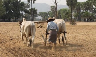 «Te seguiré adondequiera que vayas»
