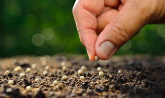 «Auméntanos la fe»