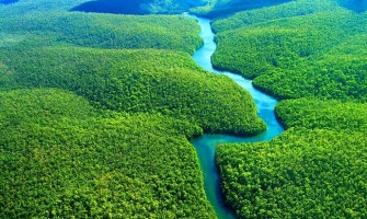 Sugerencias para el Sínodo de la Amazonía