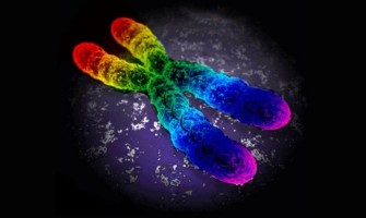 La ciencia lo acaba de decir: no se nace Gay