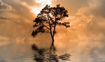 «Con vuestra perseverancia salvaréis vuestras almas»