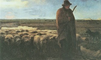  «He venido para que tengan vida»