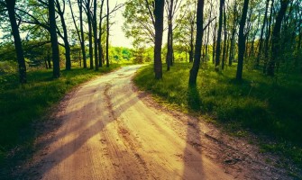  «Yo soy el Camino, la Verdad y la Vida»