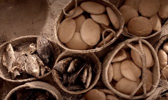 «Todos comieron hasta saciarse»